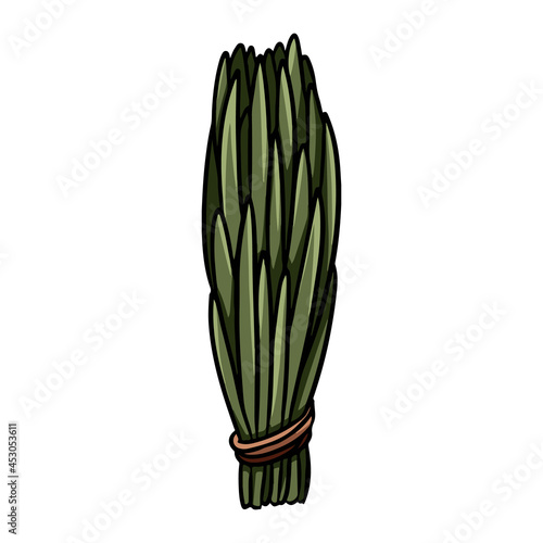 Cedar smudge stick hand-drawn doodle isolated icon. Vector stock plant leaves image. Herb bundle