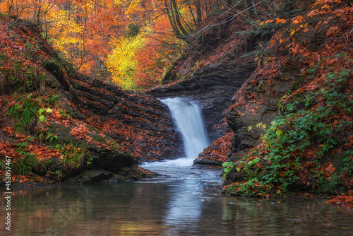 Amazing nature landscape with mountain creek in the colorful autumn forest, n...
