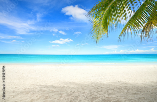 Fototapeta Naklejka Na Ścianę i Meble -  Summer sand beach with coconut palm leaves foreground.