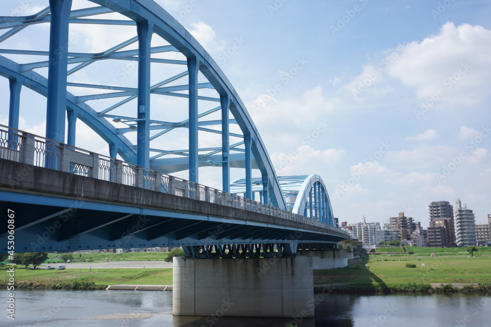 Naklejka premium 多摩川の丸子橋と武蔵小杉の景色