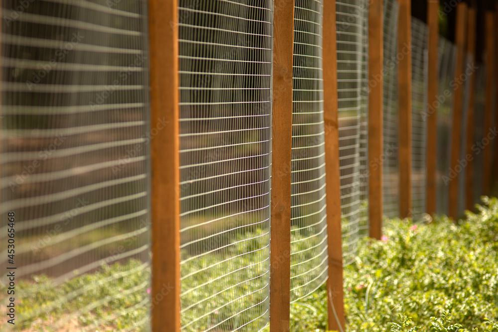 Fototapeta premium metal fence in the forest. modern metal fencing Metal fence. Fencing around the territory. Close-up of a fence.