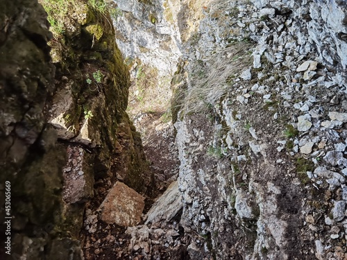 Usva pillars