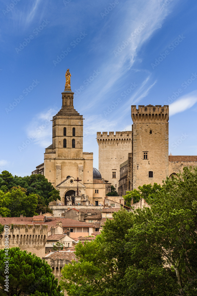 Avignon Cathedral and Palais des Papes. Historical cityscape in France.