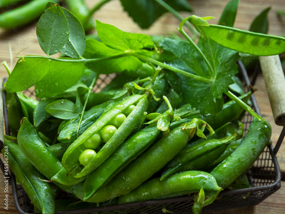 Fresh green peas pods, green peas with sprouts. Fresh vegetables Fresh green peas pods, green peas with sprouts. Fresh vegetables