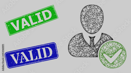 Carcass net mesh valid user model, and Valid blue and green rectangular grunge seal prints. Carcass net mesh symbol based on valid user pictogram.
