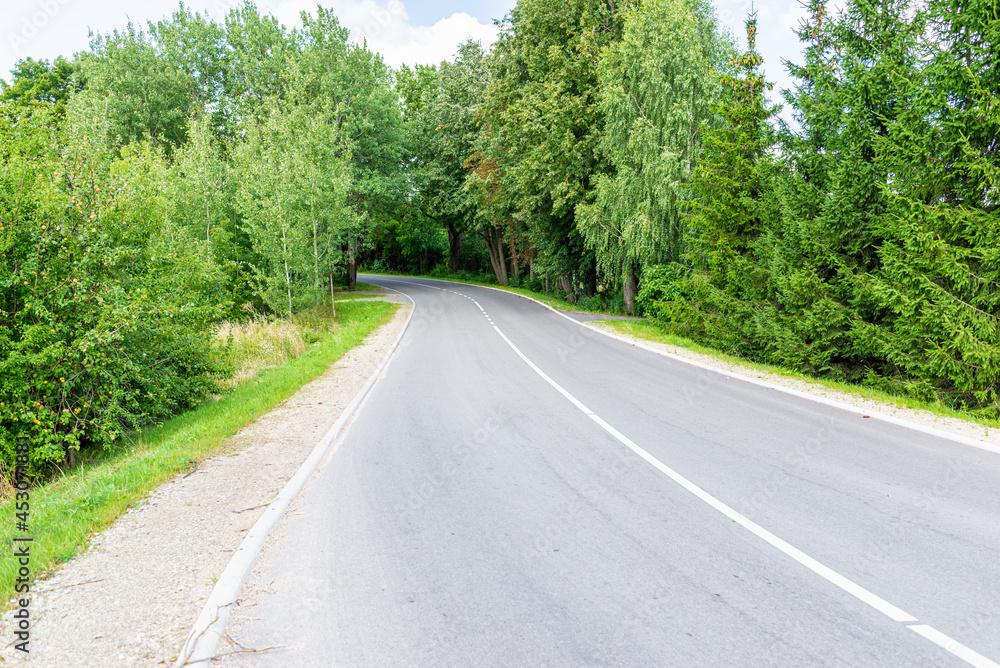 Empty Asphalt winding curve road in a green forest.Landscape with empty asphalt road through woodland in summer day.