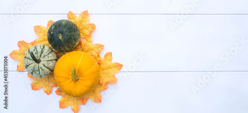 Harvest.Thanksgiving day.Autumn frame made of pumpkins  leaves  rowan berries and succulents on a white wooden background.The concept of the Halloween holiday.A copy of the space for the text.