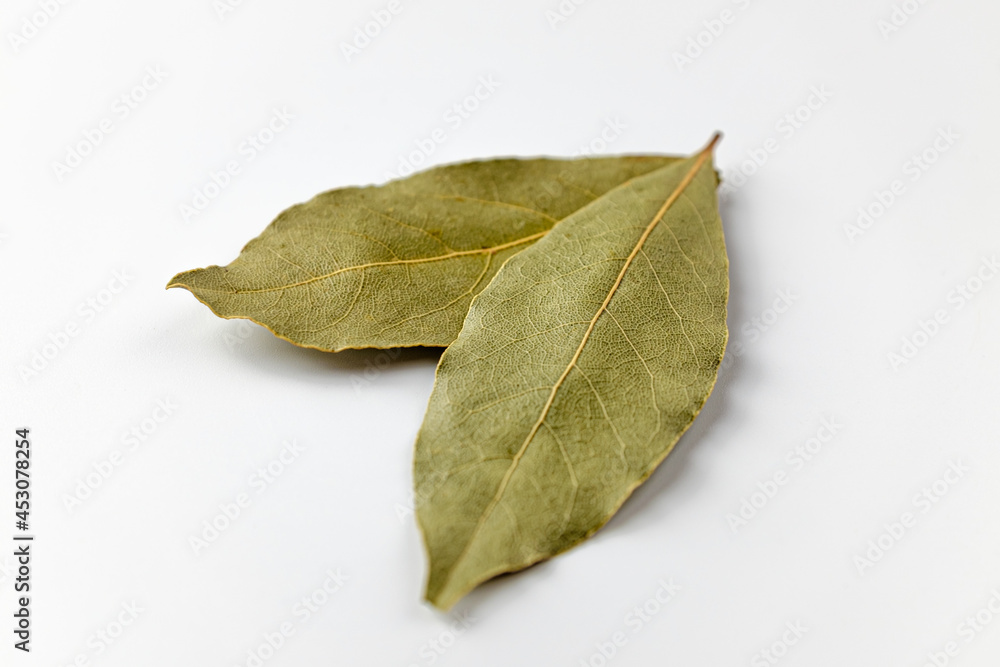 Bay leaves on a white background Bay leaves on a white background