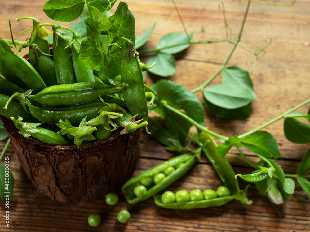 Fresh green peas pods, green peas with sprouts. Fresh vegetables Fresh green peas pods, green peas with sprouts. Fresh vegetables