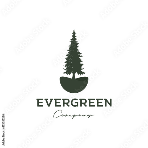 pine tree evergreen timberland logo design vector