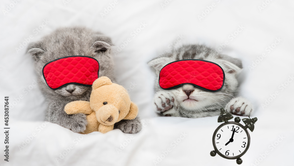 Two cozy kittens sleep together in sleeping mask under blanket on a bed at home. One kitten holds alarm clock. Top down view