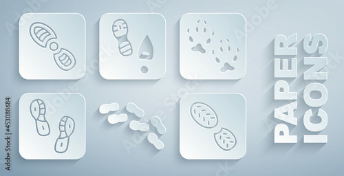 Set Human footprints shoes, Fox paw, and icon. Vector