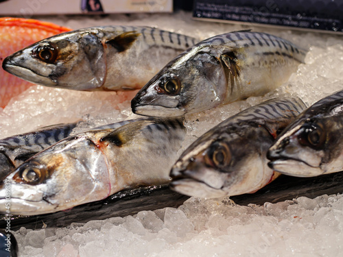 Saba fish are sold at seafood stalls.