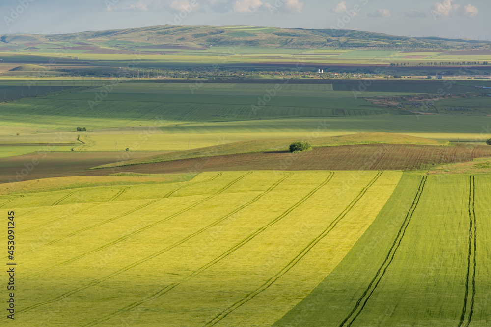 Obraz premium dobrogea landscape with agricultural fields
