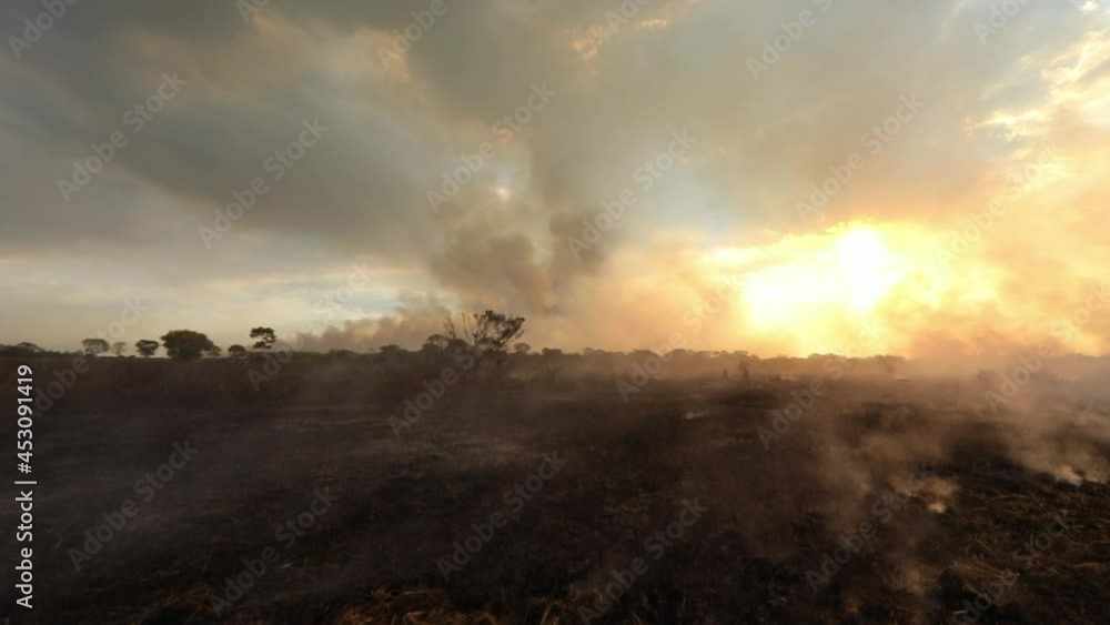 Wildfires destroy fields and rages across the drought-stricken farms in Brazil's Pantanal - sliding view at sunset Wildfires destroy fields and rages across the drought-stricken farms in Brazil's Pantanal - sliding view at sunset