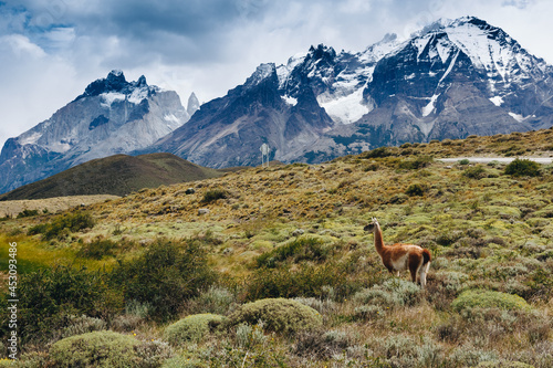 Tablou canvas Torres del Paine National Park, Patagonia, Chile