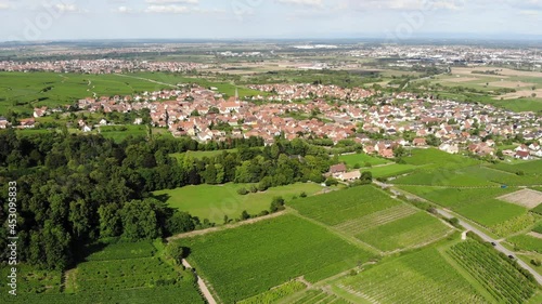 Lush and green vine fields and old village seen ahead, aerial panorama of Kintzheim commune at Alsace in summer day. Wine making region and touristic area, known Alsatian Wines Road, France photo