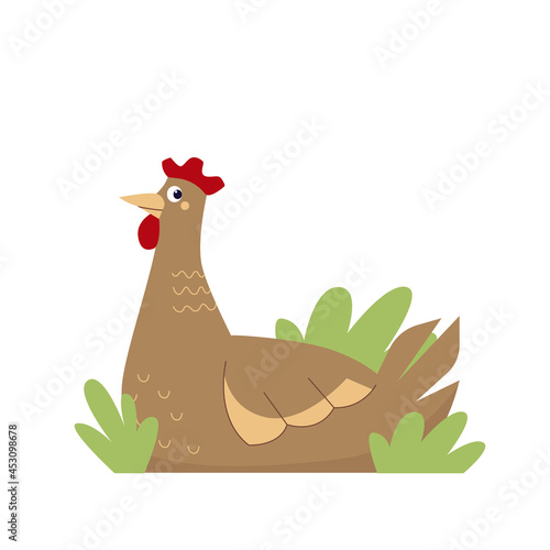 Vector cute cartoon chicken rest on a grass. Funny domestic bird isolated on a white background.