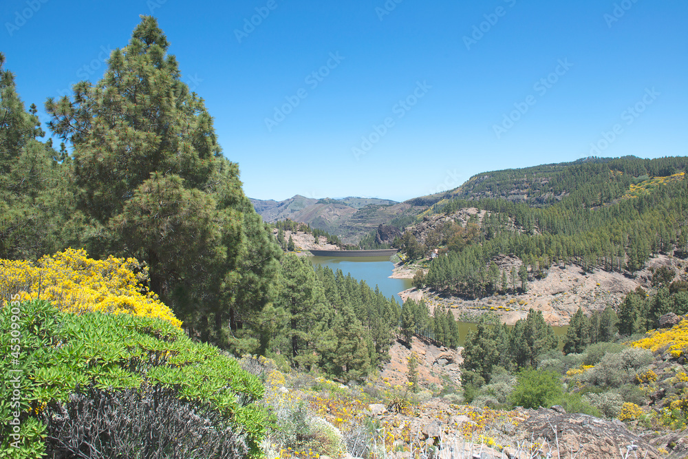 Mountain world and lake of Gran Canary, Spain