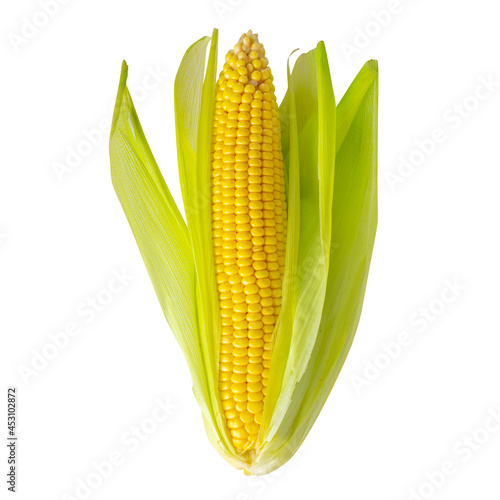 Corn cob isolated on white background. Corn cob with leaf and husk. Maize ear. Sweet corn kernels. Clipping path, cut out.