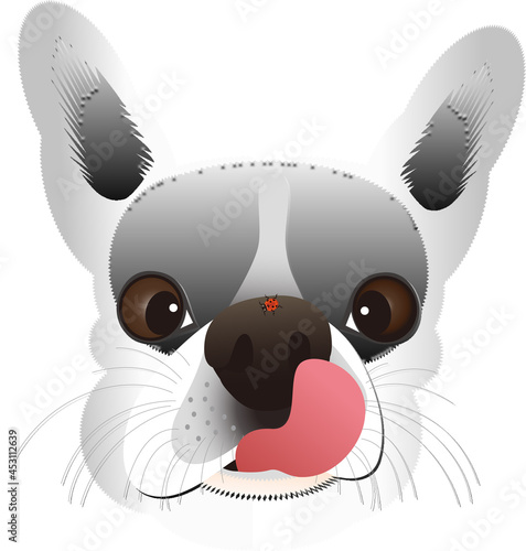 鼻の上に停まったてんとう虫を舌で舐めようとしているフレンチブルドッグ