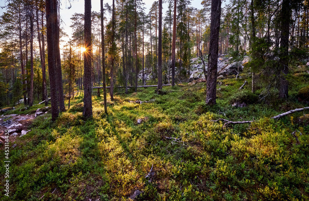 Midnight sun Midnight sun