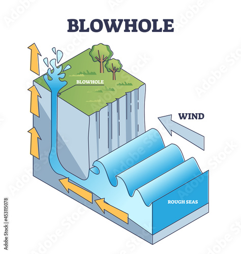 Blowhole or marine geyser formation in sea caves explanation outline diagram. Labeled educational nature process with water splashing above earth surface. Geological vertical shafts creation scheme.