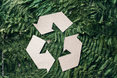 Obraz na plátne Reuse symbol on a background of green ferns