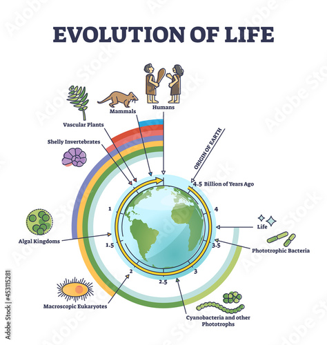 Evolution of life with round timeline for living creatures development outline diagram. Origin of earth and further years process with bacteria, algae, mammals and humans creation vector illustration.