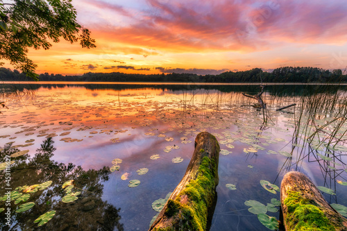 Fototapeta Naklejka Na Ścianę i Meble -  Beautiful summer sunrise over lake