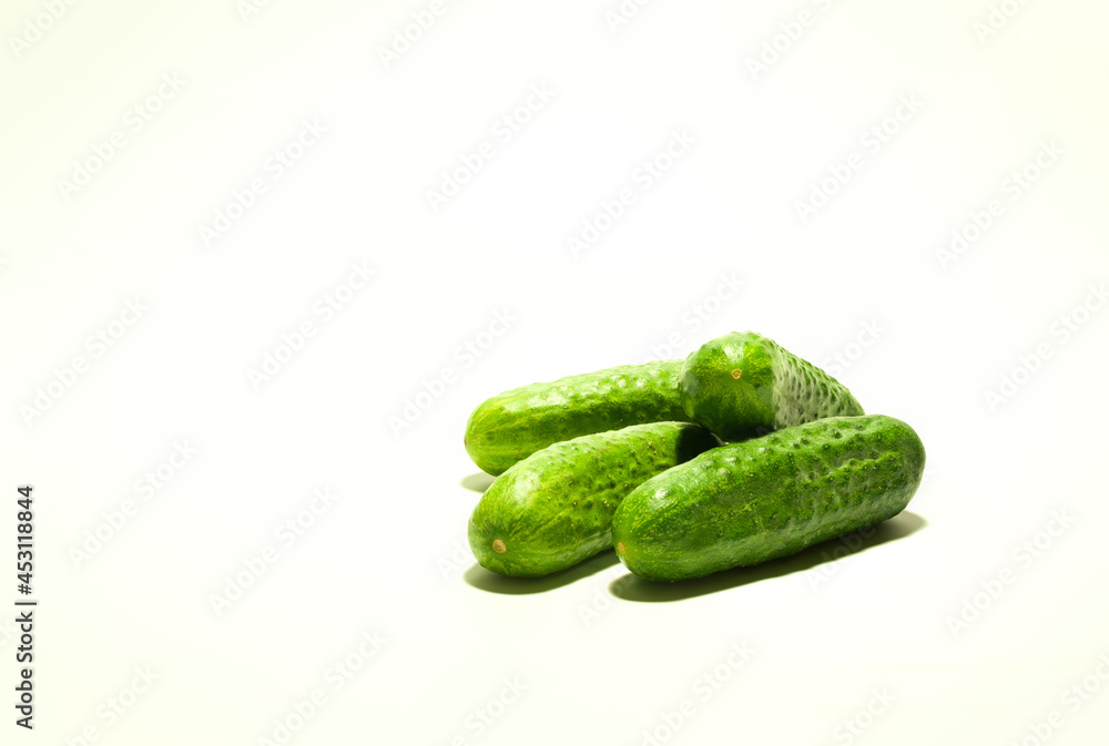 fresh green cucumbers on the white background with copy space fresh green cucumbers on the white background with copy space