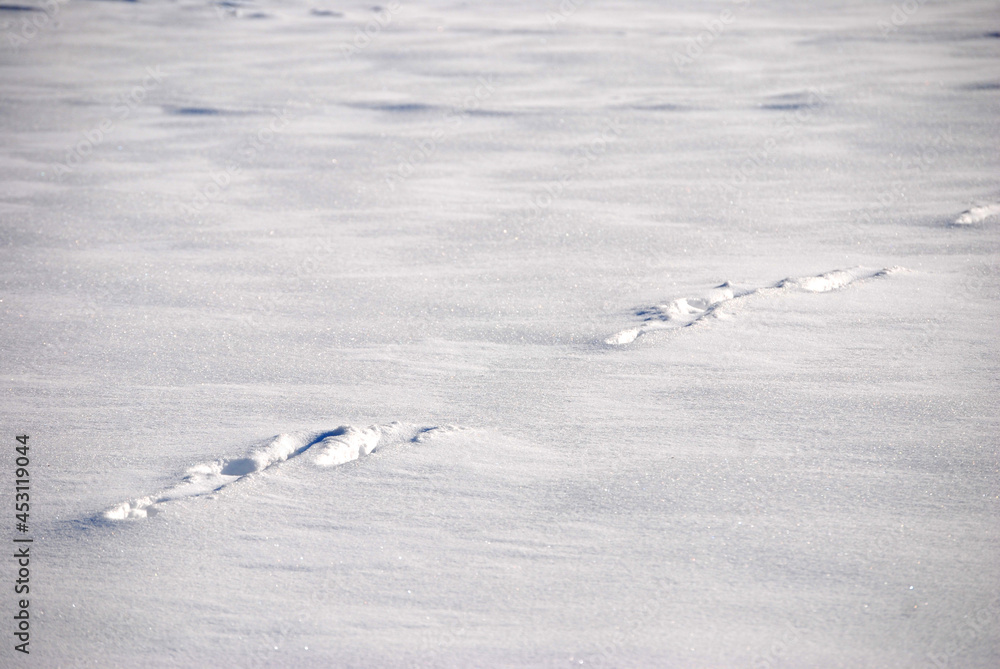 Durch eine unberührte Schneedecke führen Fußspuren.
