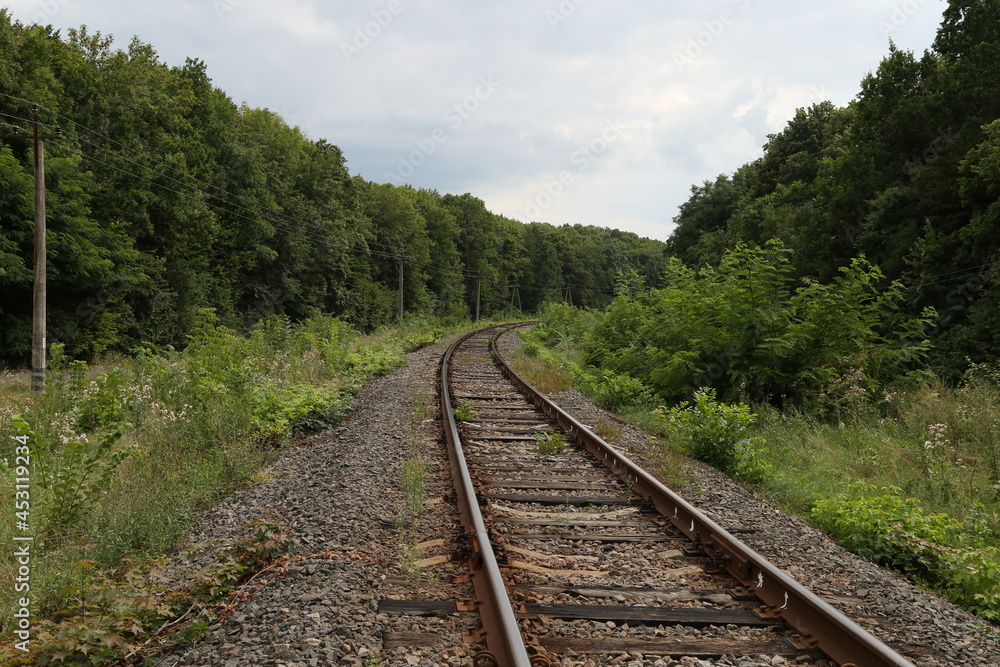 The railway in the forest