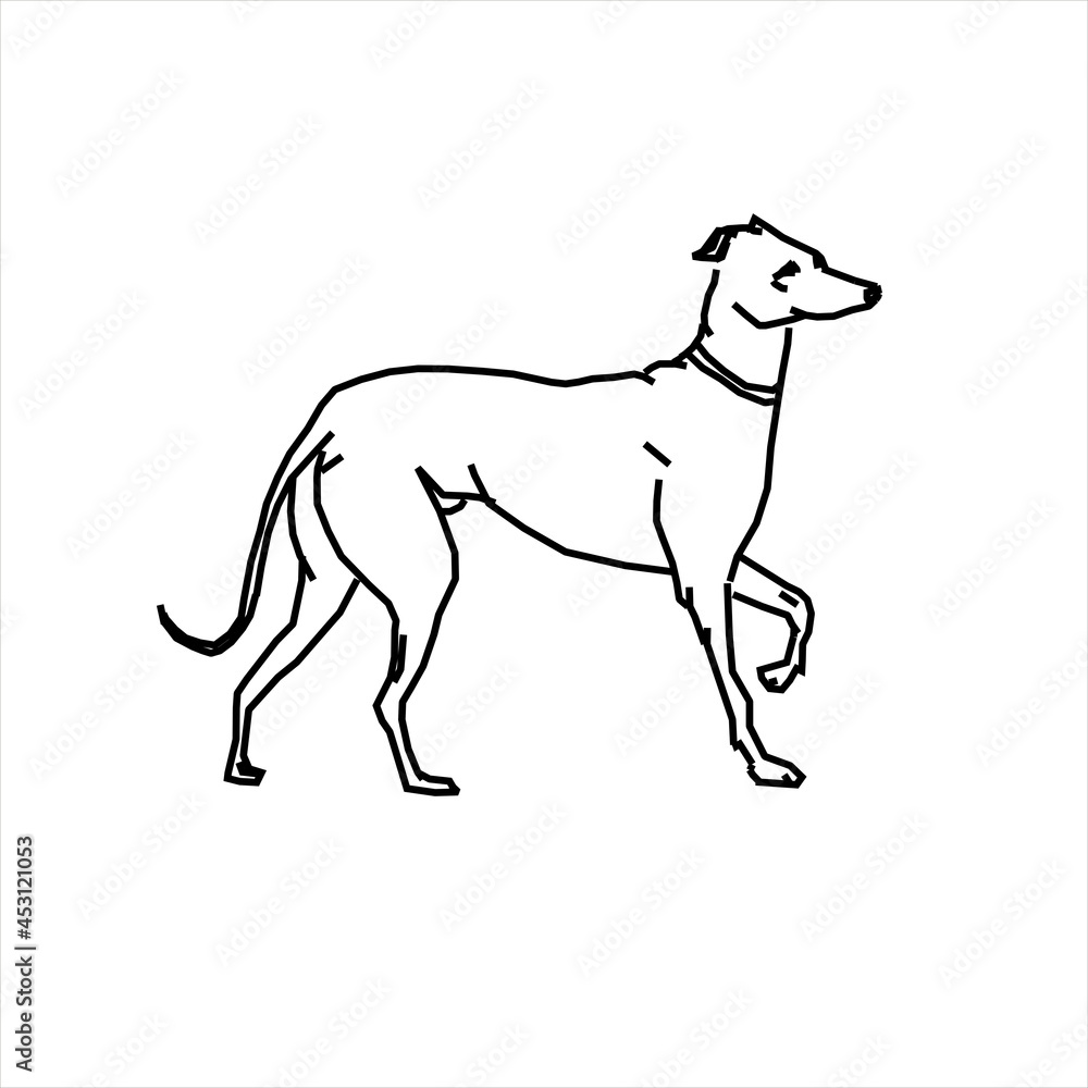 Vector design sketch of a dog walking