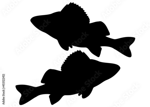 Big fish perches. Vector image.