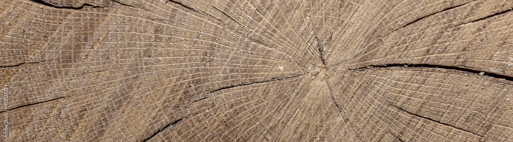 Fototapeta premium Dark brown wooden texture background. Rustic background. Bunner design