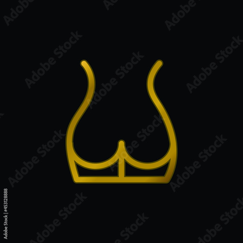 Back Part Of The Body Showing Butt Area gold plated metalic icon or logo vector