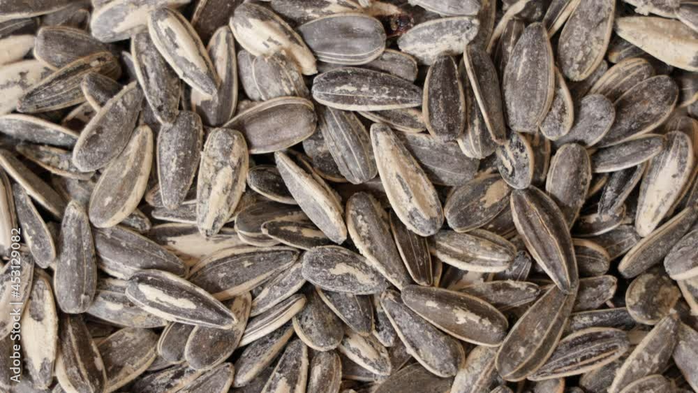 Pile of salted and roasted sunflower seeds