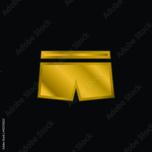 Boxers gold plated metalic icon or logo vector
