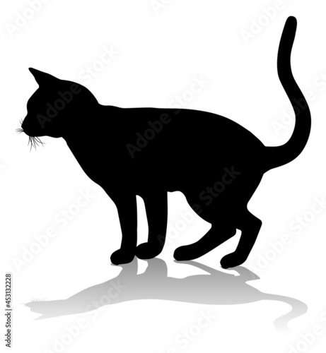 Silhouette Cat Pet Animal © Christos Georghiou