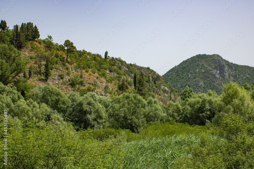 Lush green trees and plants on the mountain slopes. Landscape on the natural park. Mountains and blue sky on the background.