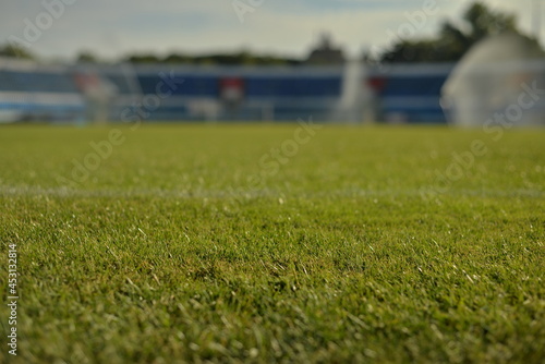 football stadium grass closeup photo
