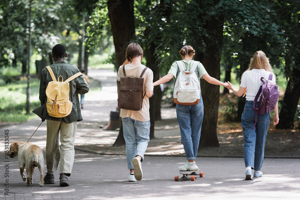 Back view of interracial teenagers with skateboard and retriever walking in park Back view of interracial teenagers with skateboard and retriever walking in park
