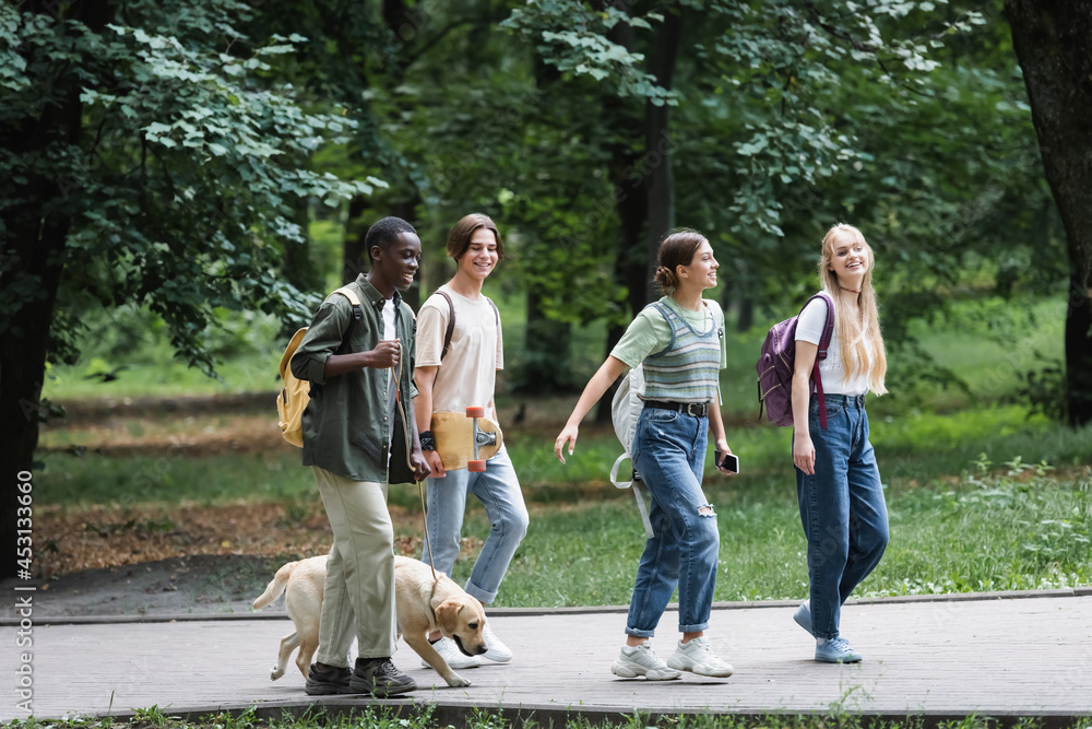 Obraz premium Positive interracial teenagers with backpacks and retriever walking in park