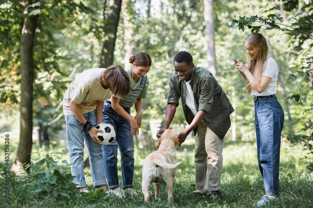Obraz premium Interracial teenagers with smartphone and football ball petting retriever in park