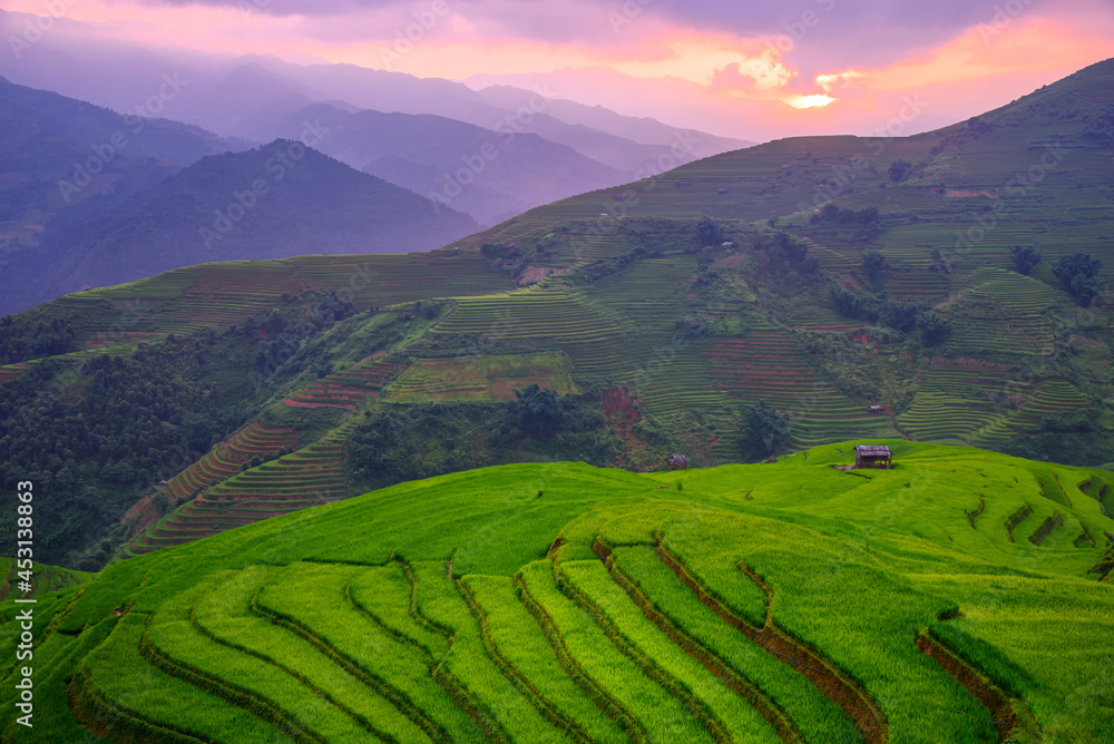 Rice fields on terraced beautiful shape of Mu Cang Chai, YenBai, Vietnam. Rice fields prepare the harvest at Northwest Vietnam.