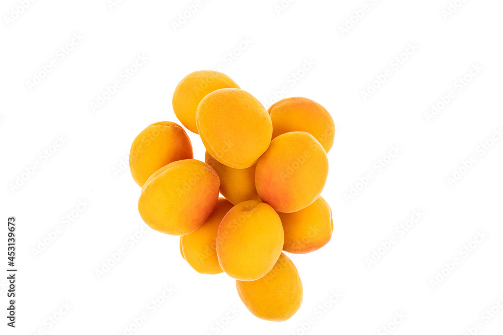 abricots abricots