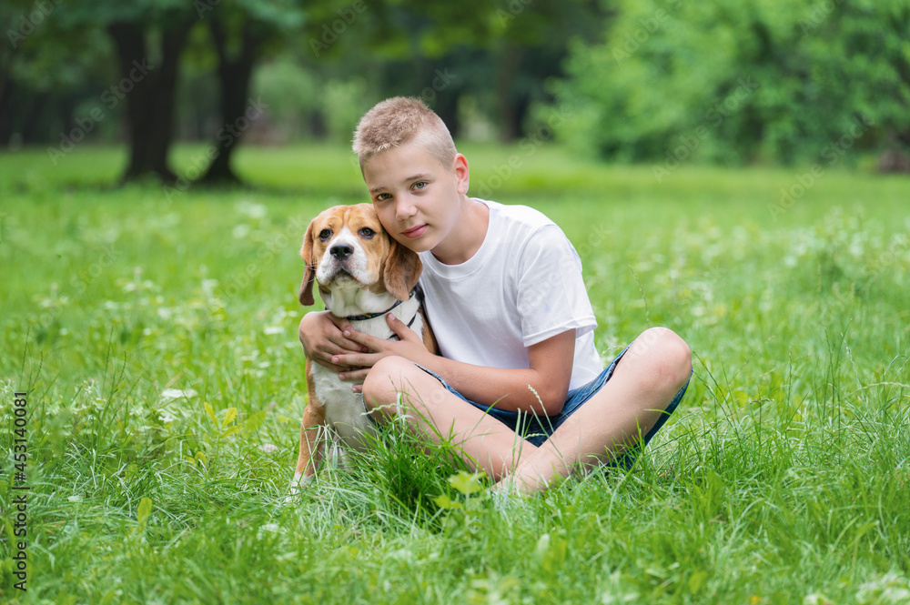 Blond boy sits on a lawn with a dog beagle in summer park Blond boy sits on a lawn with a dog beagle in summer park