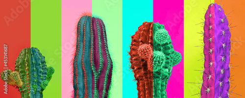 Contemporary art collage. Bright vibrant colors. Horizontal composition with multicolored cactus, cacti isolated over colored background