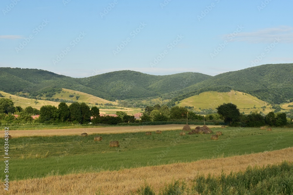 Beautiful landscape, with trees and hills on Trascau mountains in Transylvania, Romania.